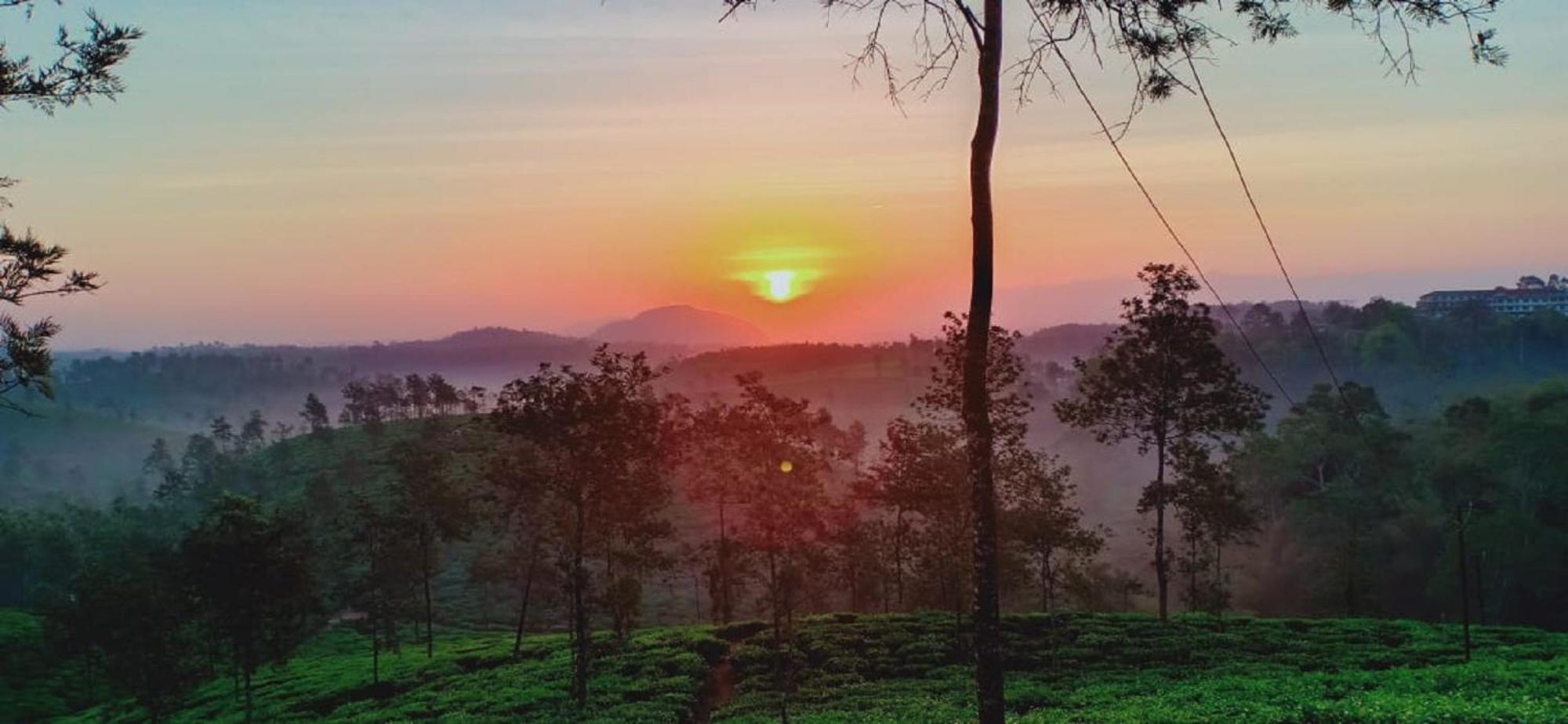 Tea Tours Ripon Heritage Bungalow Meppadi Экстерьер фото